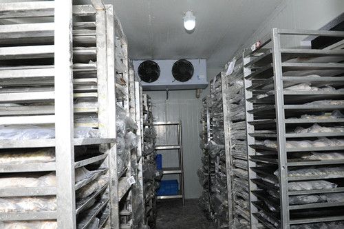 速凍冷庫和冷凍冷庫的區(qū)別？
